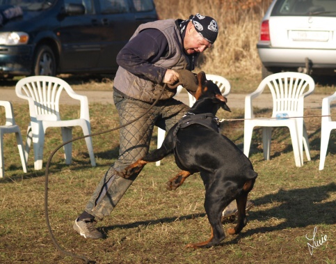 The christmas training 27.12.2006